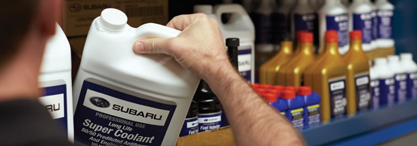 Picture of Subaru Super Coolant. | Glassman Subaru in Southfield MI